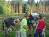 Les enfants etles ânes Camping La Broche Fresse